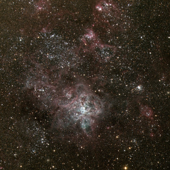 Tarantula Nebula