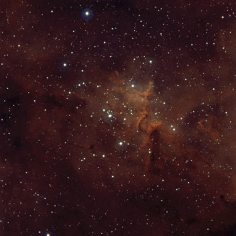 IC 1808 bicolor