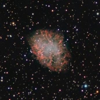 M1