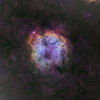 IC1396