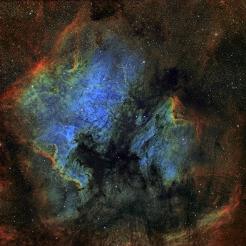 NGC7000