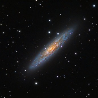 NGC253