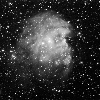 Monkey Nebula