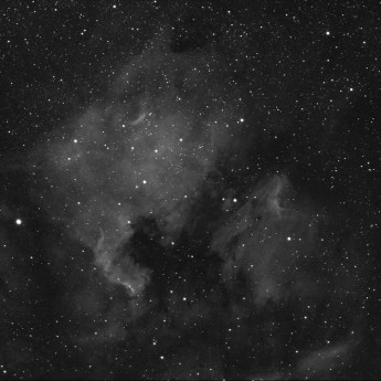 NGC7000