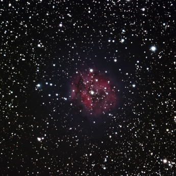IC5146 - Cocoon Nebula