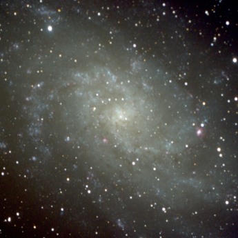 M33