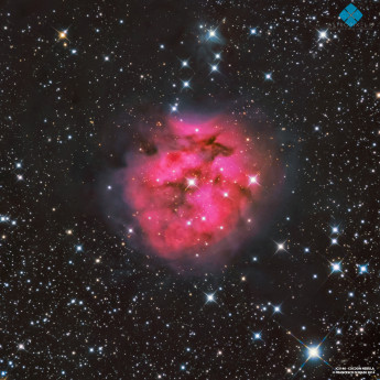 Cocoon Nebula