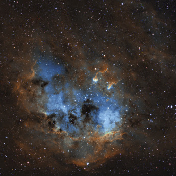 ic410 Tadpoles