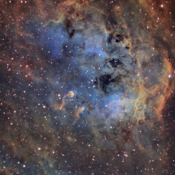 IC410, The Tadpoles