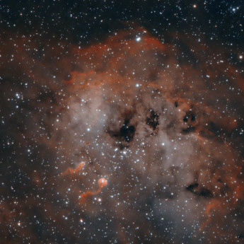 IC410 Tadpole Nebula, Bi Colour