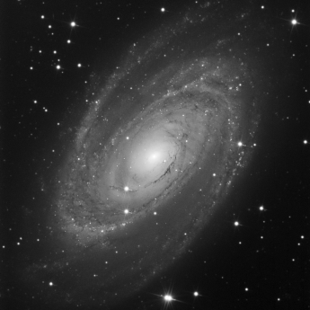 Messier 81 mono