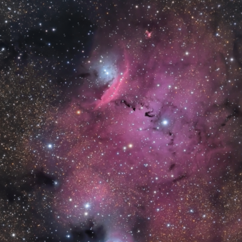 NGC 6559