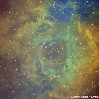 Rosette Nebula in Narrowband