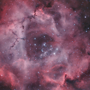 NGC 2237 The Rosette Nebula
