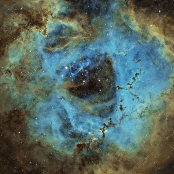 ngc2244 Rosette Nebula in HST palette