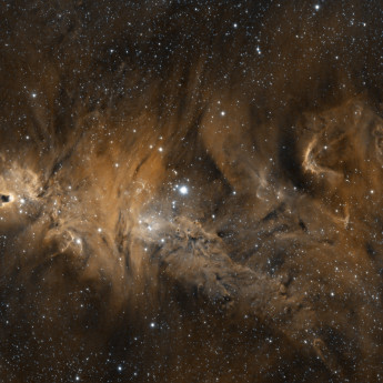 ngc2264 Christmas Tree Cluster and Cone Nebula