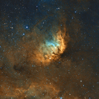 Sh2-101 (Tulip Nebula) & Cygnus X-1 HST