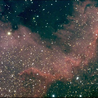 Cygnus Wall