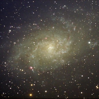 M33