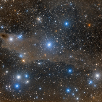 Lynds Dark Nebula 1235 (Shark Nebula) and Van den Bergh 149 & 150