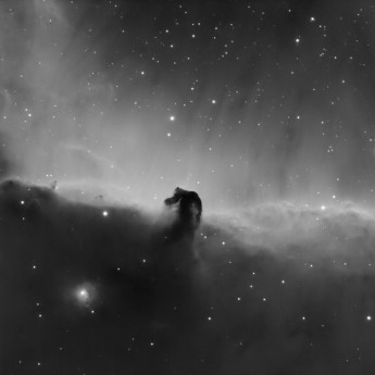 HorseHead Nebula in Ha