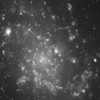 M33, Pinwheel Galaxy,  H alpha