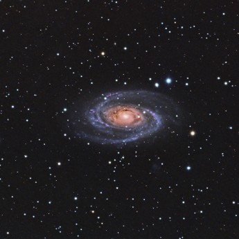 M81