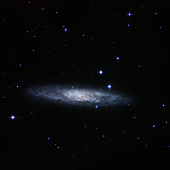 NGC253: The Sculptor Galaxy