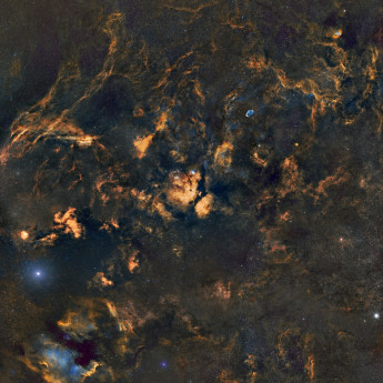 wide field in cygnus