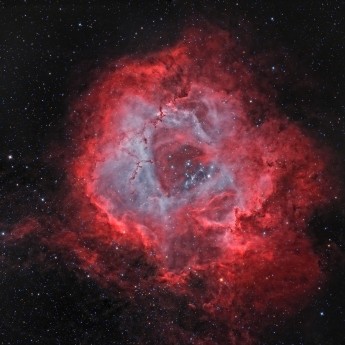 NGC2244 Bicolor