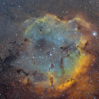 Ic 1396 - The Elephant Trunk Nebula