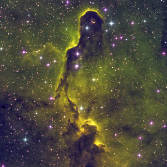 IC1396