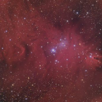 NGC2264 - Cone Nebula and Christmas Tree Cluster