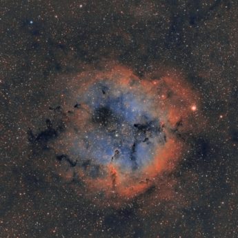IC 1396 Elephant's trunk nebula widefield