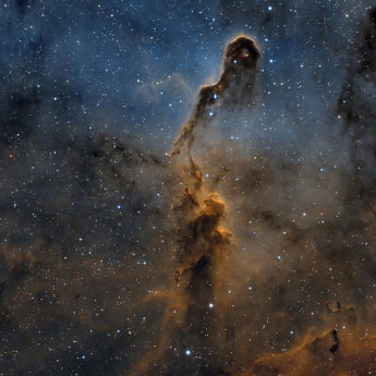 Elephant Trunk Nebula