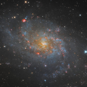 M33