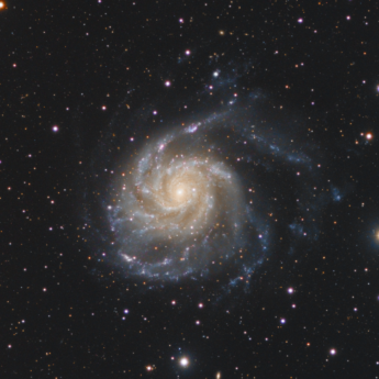 M101