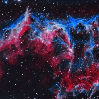 Eastern Veil - Close up