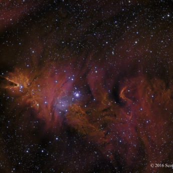The Cone Nebula in HSO