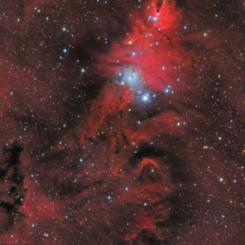 Christmas Tree Cluster