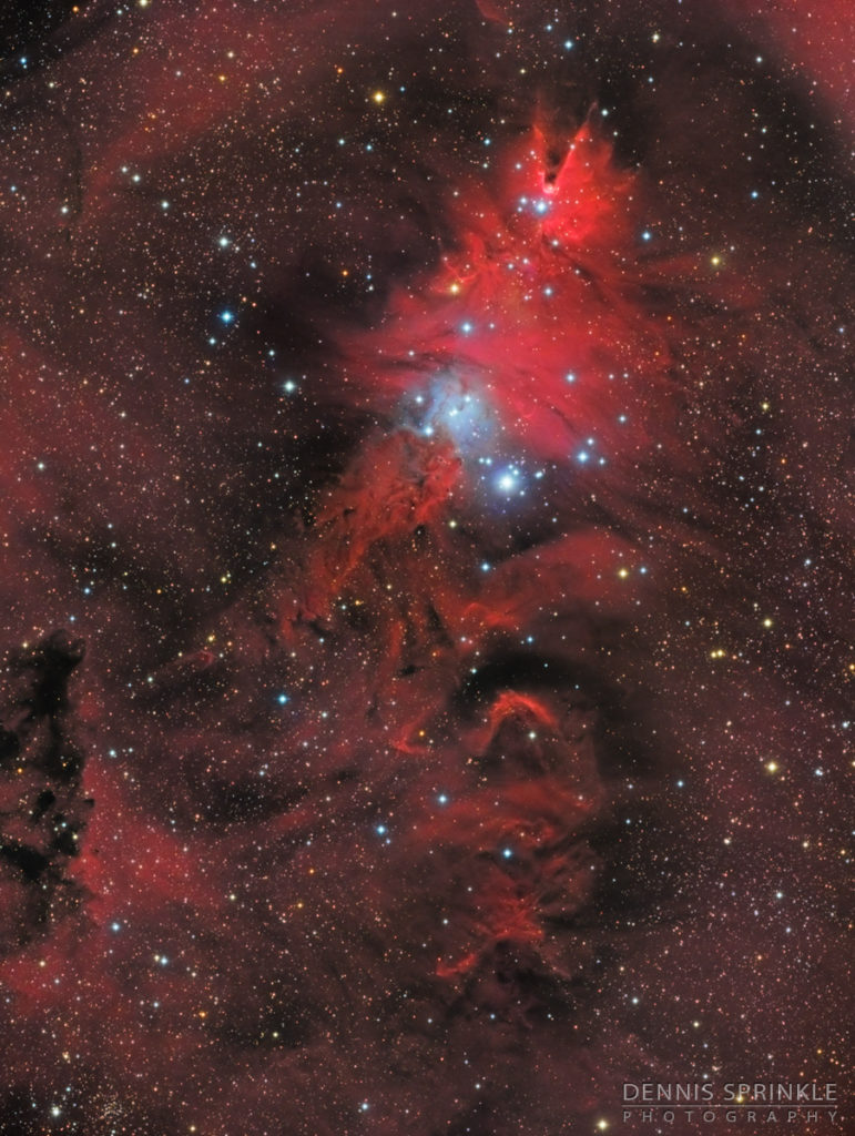 Christmas Tree Nebula by Dennis Sprinkle