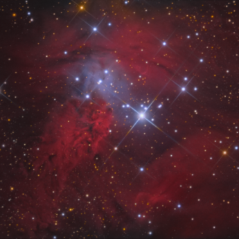 Ngc - 2264 (fox Fur-nebula In Monoceros )