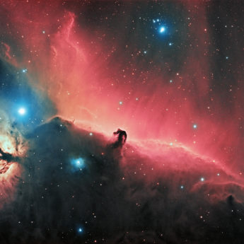 Flame and Horsehead nebulae