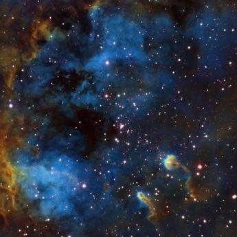 The Tadpoles of IC410