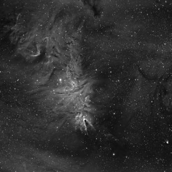 Christmas Tree, Cone and Hubbles variable nebula