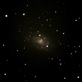 NGC 2403  C 7  Mixed Spiral Galaxy in Cam