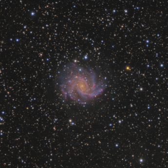 Ngc 6946 - The ''fireworks Galaxy''