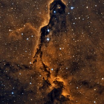 IC 1369 Elephant Trunk Nebula in bicolour narrowband