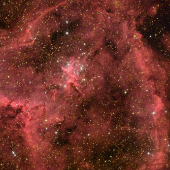 The Heart Nebula in HaRGB