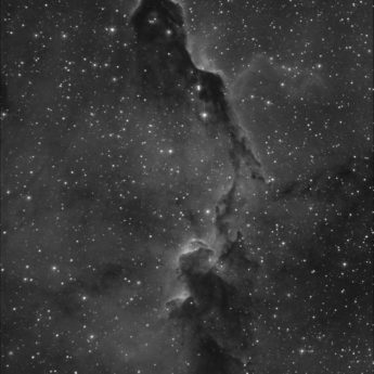 The Elephant's Trunk Nebula (in IC 1396) in Hα